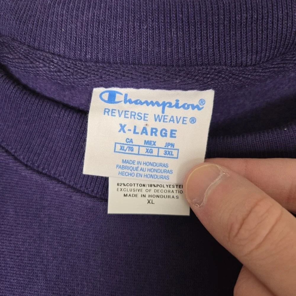 Vintage Champion Reverse Weave Holy Cross College Sweatshirt Adult XL Purple Y2k
